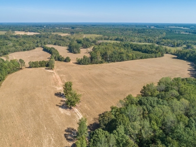 Farmland In Southern VA - image 4