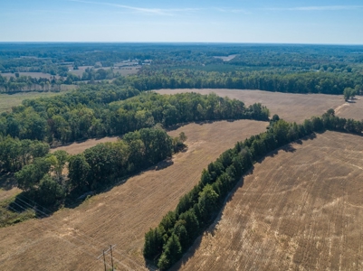 Farmland In Southern VA - image 14