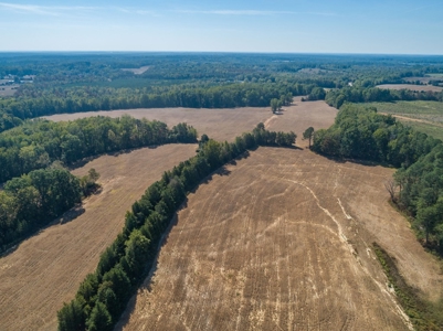 Farmland In Southern VA - image 15