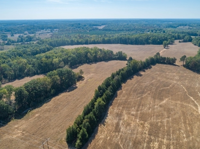 Farmland In Southern VA - image 3
