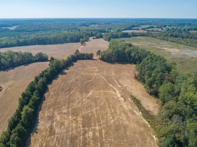 Farmland In Southern VA - image 2