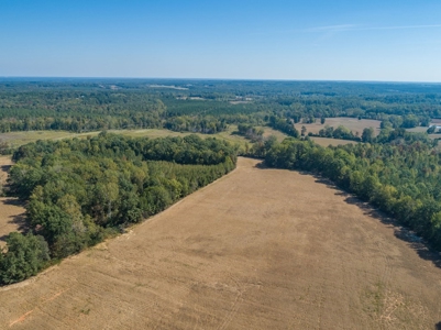 Farmland In Southern VA - image 7