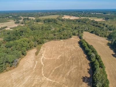 Farmland In Southern VA - image 8