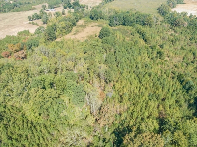 Farmland In Southern VA - image 9