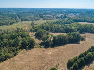 Farmland In Southern VA - image 13