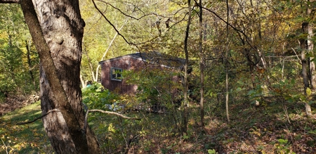 Country Cabin on 9.4 Wooded Acres For Sale in SW Wisconsin - image 10