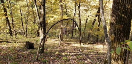 Country Cabin on 9.4 Wooded Acres For Sale in SW Wisconsin - image 15