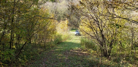 Country Cabin on 9.4 Wooded Acres For Sale in SW Wisconsin - image 18