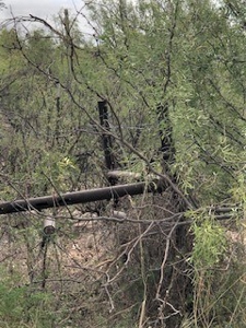 Fenced Land Right Outside Fort Stockton, TX For Sale - image 2