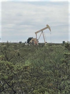 Fenced Land Right Outside Fort Stockton, TX For Sale - image 5