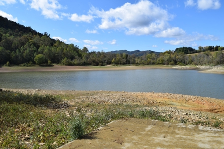 Cherokee Lakefront for Sale Hawkins County Tennessee 37857 - image 37