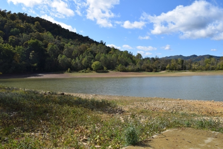 Cherokee Lakefront for Sale Hawkins County Tennessee 37857 - image 38