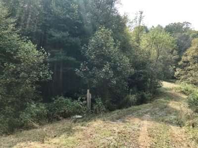 Land Ready to Build on in Indian Valley VA - image 2