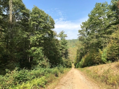 Land Ready to Build on in Indian Valley VA - image 10