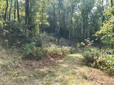 Land Ready to Build on in Indian Valley VA - image 7