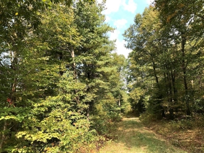 Land Ready to Build on in Indian Valley VA - image 5