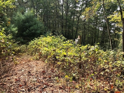 Land Ready to Build on in Indian Valley VA - image 9