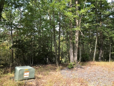 Land Ready to Build on in Indian Valley VA - image 6