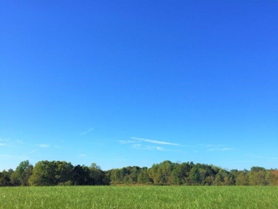 113 Acres Athens County Ohio Hunting Property - image 11