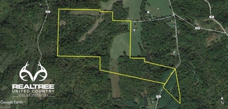 113 Acres Athens County Ohio Hunting Property - image 3