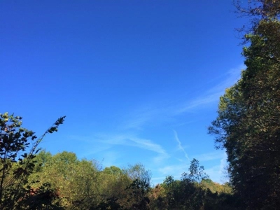 113 Acres Athens County Ohio Hunting Property - image 25