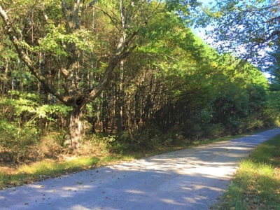 113 Acres Athens County Ohio Hunting Property - image 2