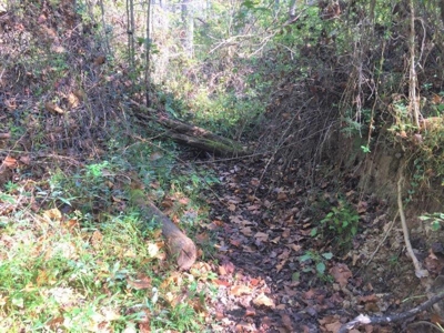 113 Acres Athens County Ohio Hunting Property - image 23