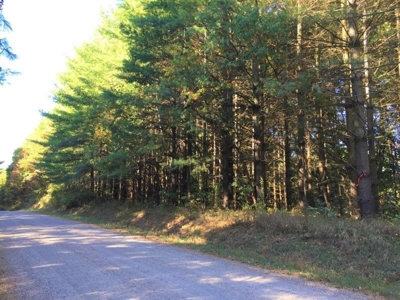 113 Acres Athens County Ohio Hunting Property - image 30