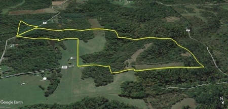 113 Acres Athens County Ohio Hunting Property - image 38