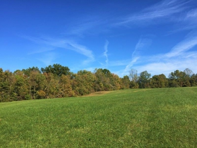 113 Acres Athens County Ohio Hunting Property - image 15
