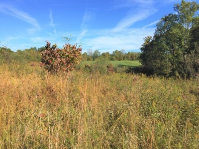 113 Acres Athens County Ohio Hunting Property - image 18