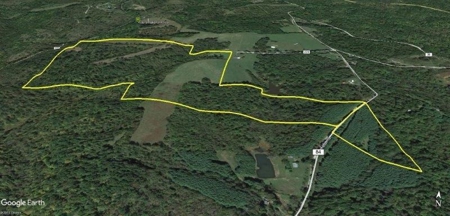 113 Acres Athens County Ohio Hunting Property - image 37
