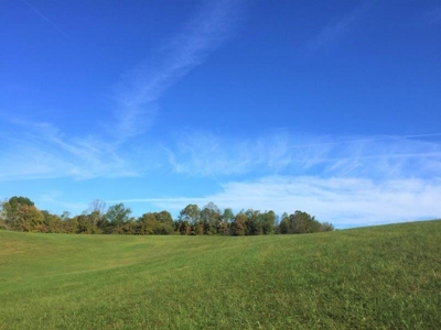 113 Acres Athens County Ohio Hunting Property - image 5
