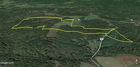 113 Acres Athens County Ohio Hunting Property - image 36