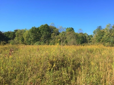 113 Acres Athens County Ohio Hunting Property - image 19