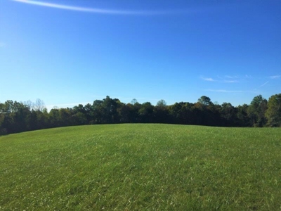 113 Acres Athens County Ohio Hunting Property - image 10