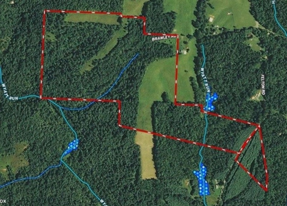 113 Acres Athens County Ohio Hunting Property - image 34