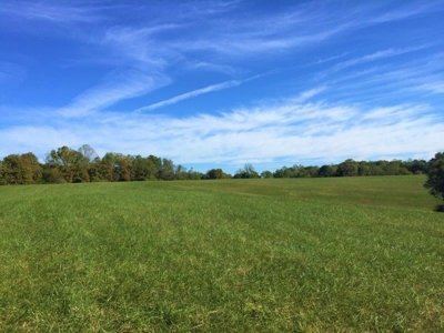113 Acres Athens County Ohio Hunting Property - image 14