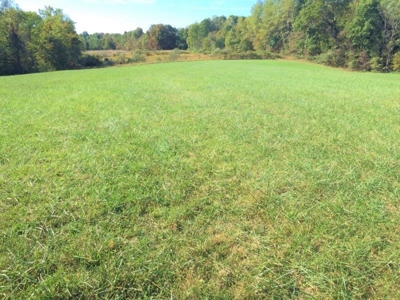 113 Acres Athens County Ohio Hunting Property - image 16