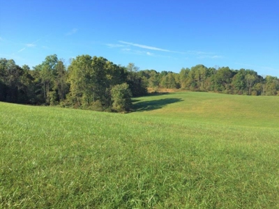 113 Acres Athens County Ohio Hunting Property - image 12