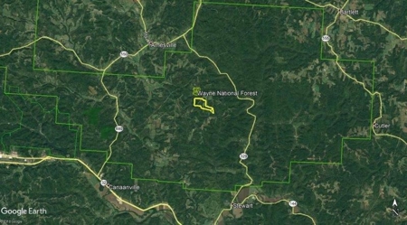 113 Acres Athens County Ohio Hunting Property - image 39