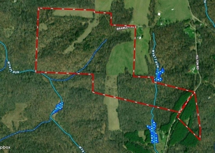 113 Acres Athens County Ohio Hunting Property - image 35