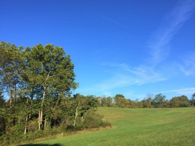 113 Acres Athens County Ohio Hunting Property - image 6
