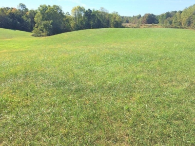 113 Acres Athens County Ohio Hunting Property - image 17