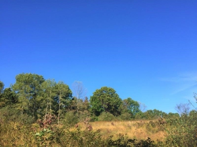 113 Acres Athens County Ohio Hunting Property - image 13