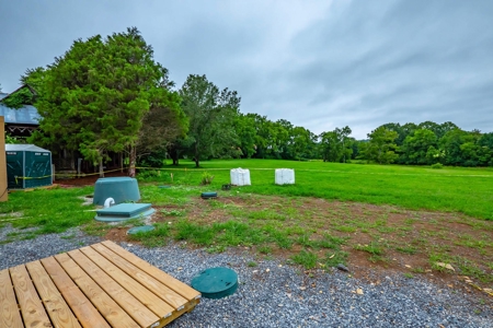 Do you need a new career that is fun too? - image 35