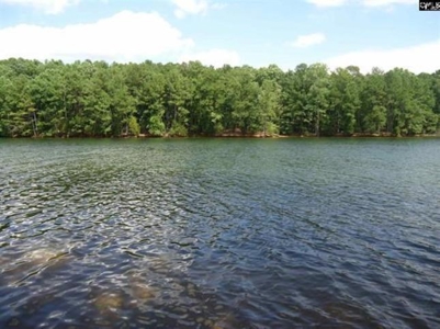2.14 Acres on Lake Monticello, SC in Restricted Community - image 1