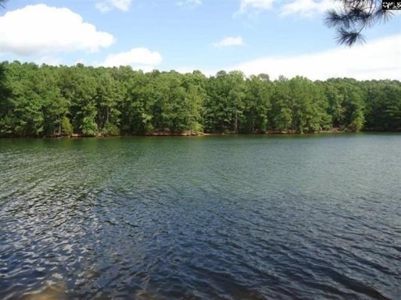 2.14 Acres on Lake Monticello, SC in Restricted Community - image 3