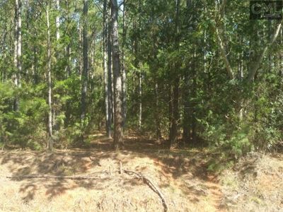 2.14 Acres on Lake Monticello, SC in Restricted Community - image 5