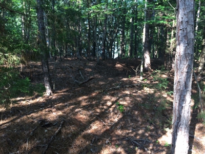 2.14 Acres on Lake Monticello, SC in Restricted Community - image 4